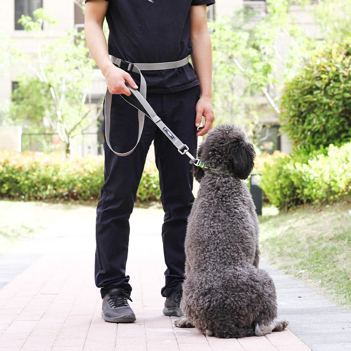 Pet Multi Functional Running Traction Leash