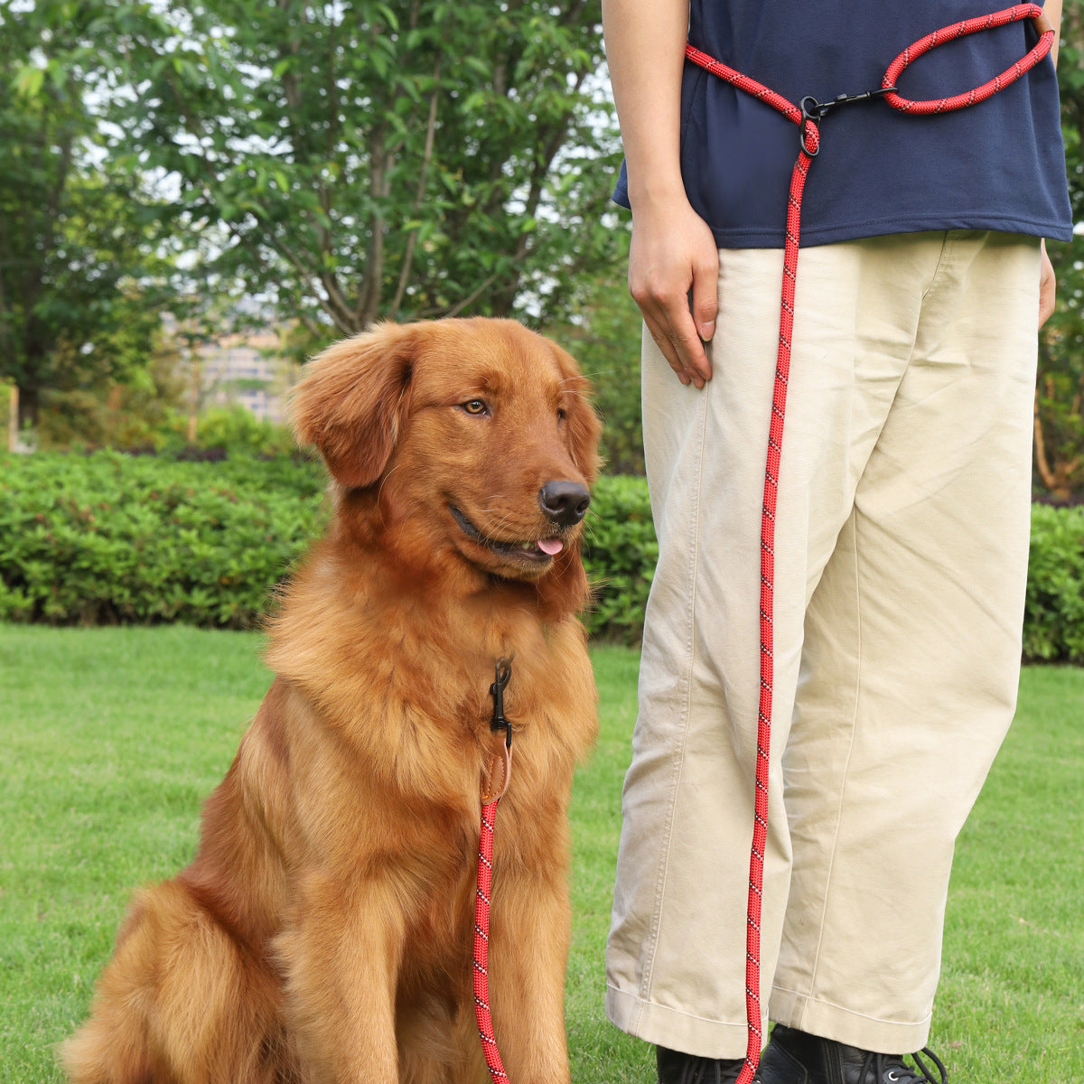 Pet Adjustable Reflective Handheld Walking Rope Leash