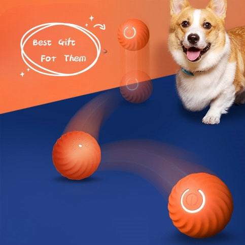 Pet Durable Rubber Bite Resistant Chew Ball Training Toy