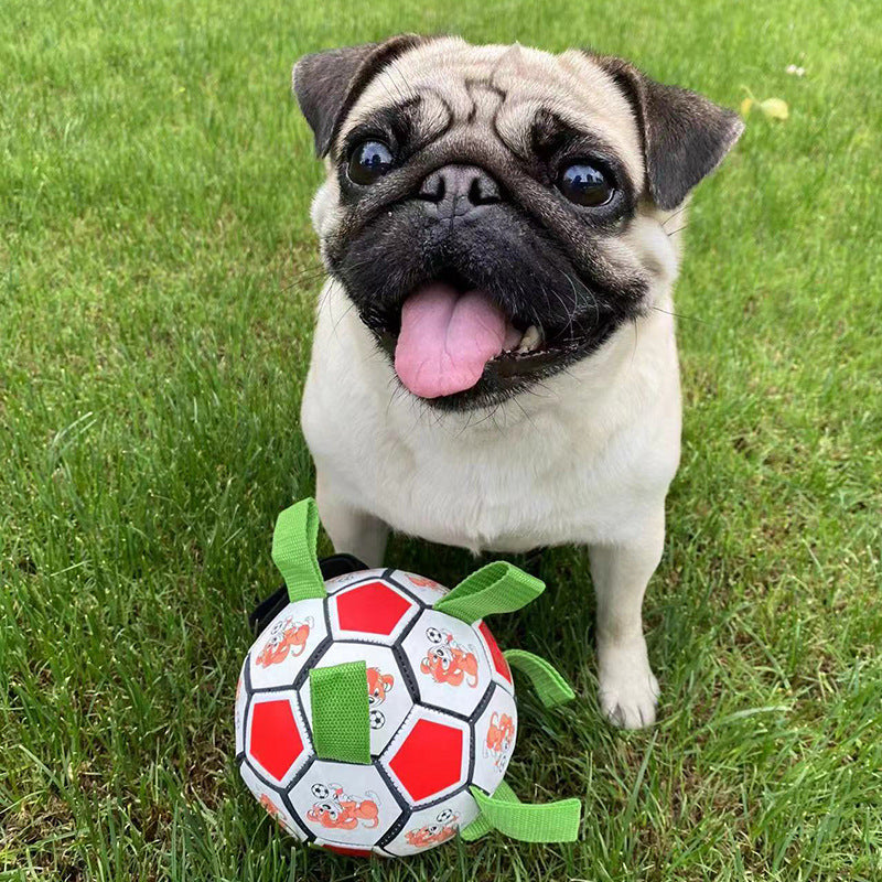 Pet Bite Resistant Football Chew Toy Molar Grinding Ball