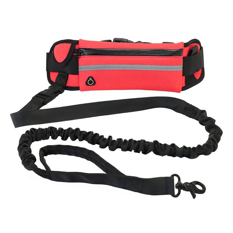 Pet Walking Purse Leash Portable Travel Carrier Strap