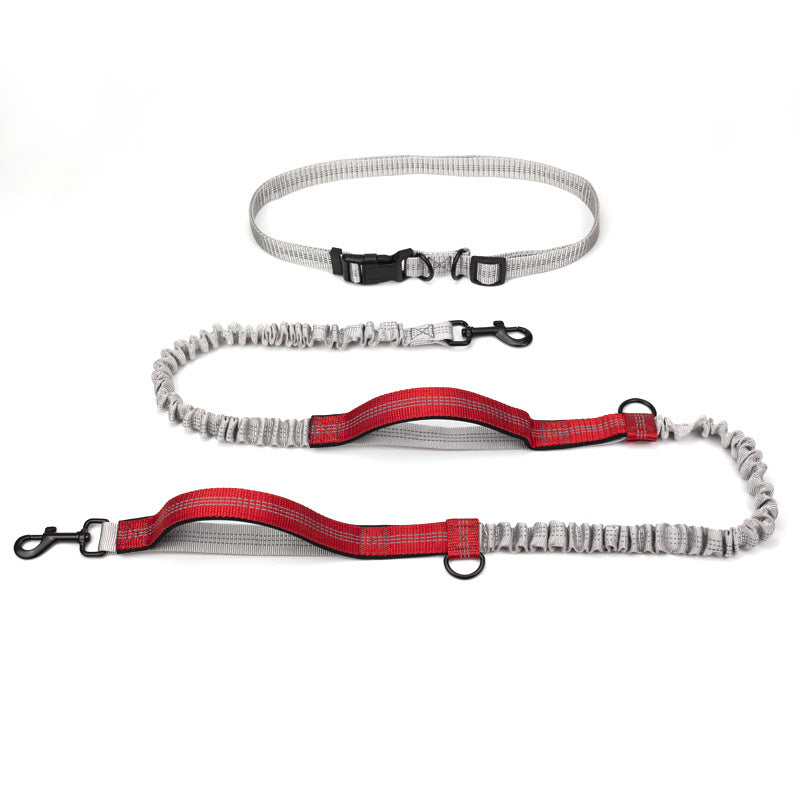 Pet Multifunctional Reflective Double Telescopic Running Leash