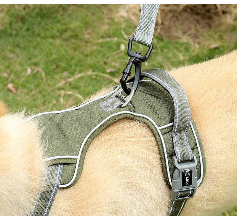Pet Fluorescent Explosion Proof Elastic Retractable Leash
