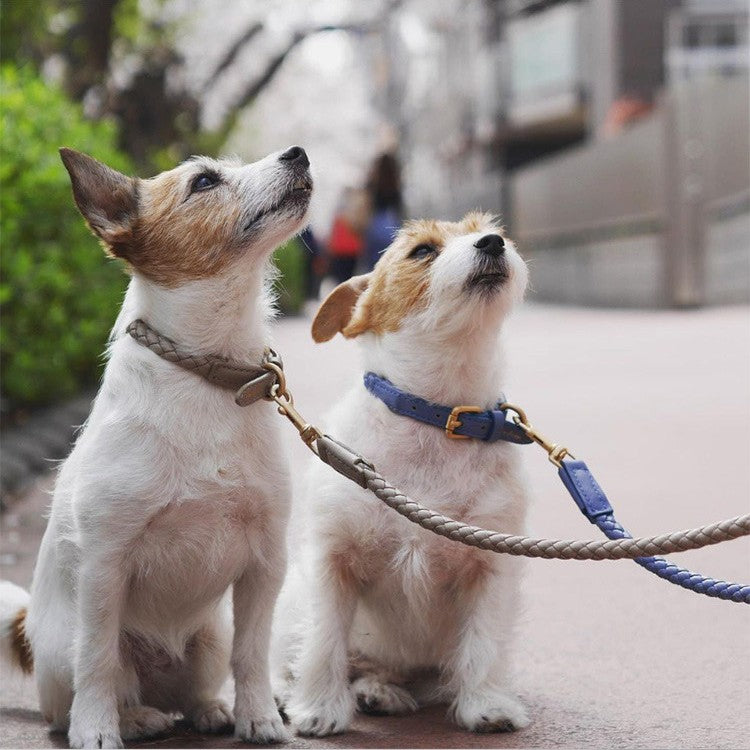 High End Sturdy Pet Collar Durable Luxury Leather