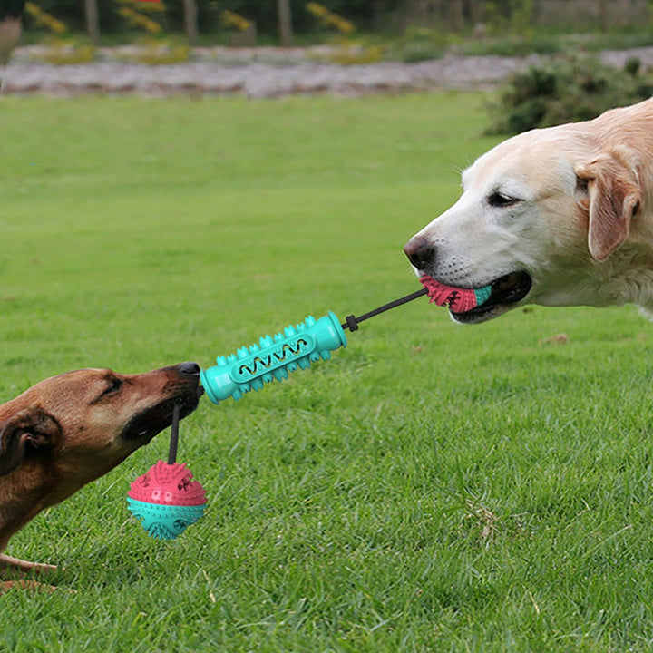 Pet Durable Chew Stick Teeth Cleaning Toy