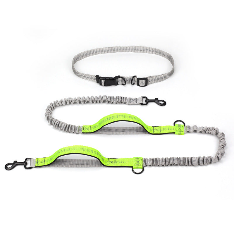Pet Multifunctional Reflective Double Telescopic Running Leash