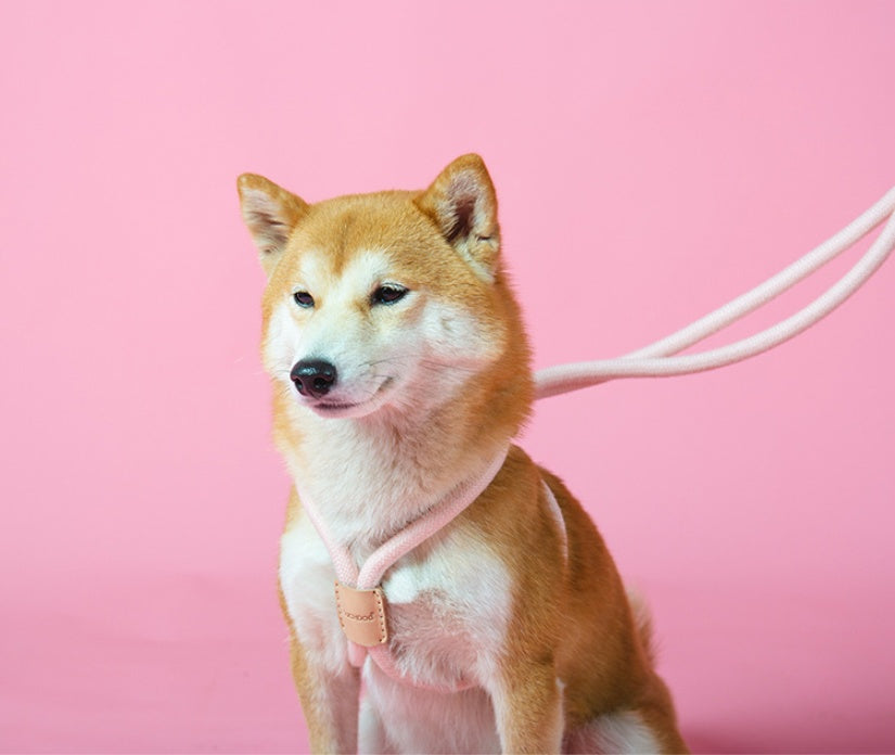 Pet Dual Purpose Integrated Round Rope Walking Leash