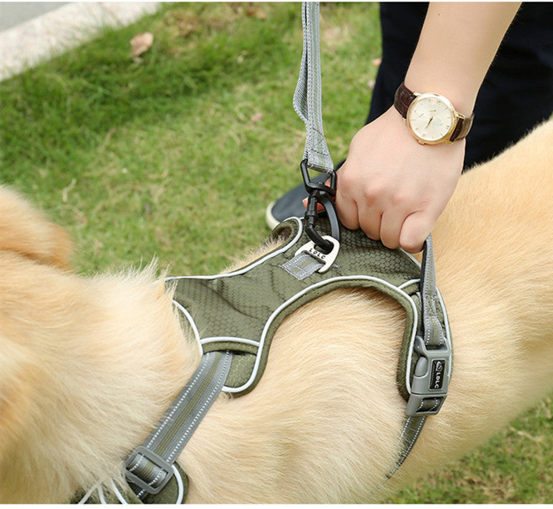 Pet Fluorescent Explosion Proof Elastic Retractable Leash