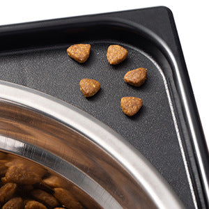Elevated Pet Feeding Bowl Neck Protection Anti Spill Stand