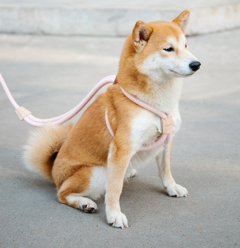 Pet Dual Purpose Integrated Round Rope Walking Leash