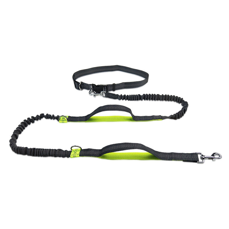 Pet Multifunctional Reflective Double Telescopic Running Leash