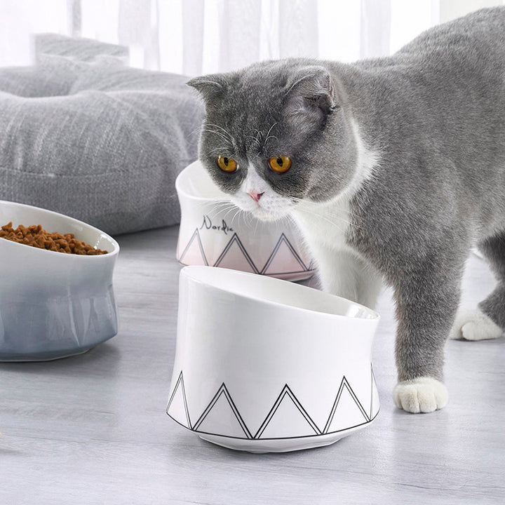 Pet Ceramic Feeding Bowl Durable Pet Dish