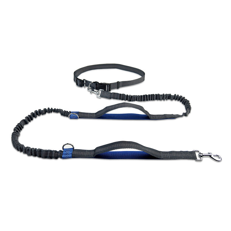 Pet Multifunctional Reflective Double Telescopic Running Leash