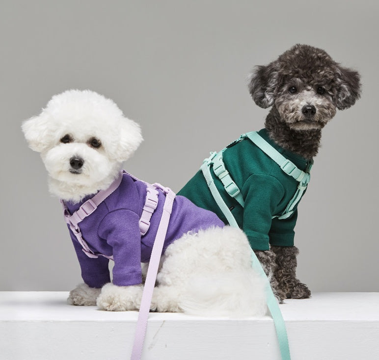 Pet Macaron Style Adjustable Fashion Walking Leash
