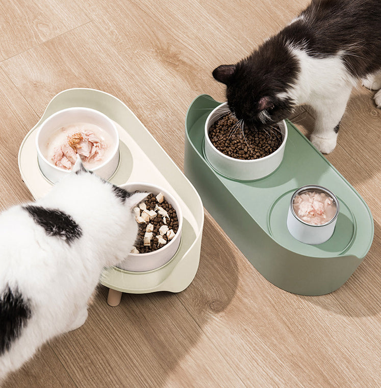 Pet Tilted Double Bowl Adjustable Spill Proof Feeder Stand