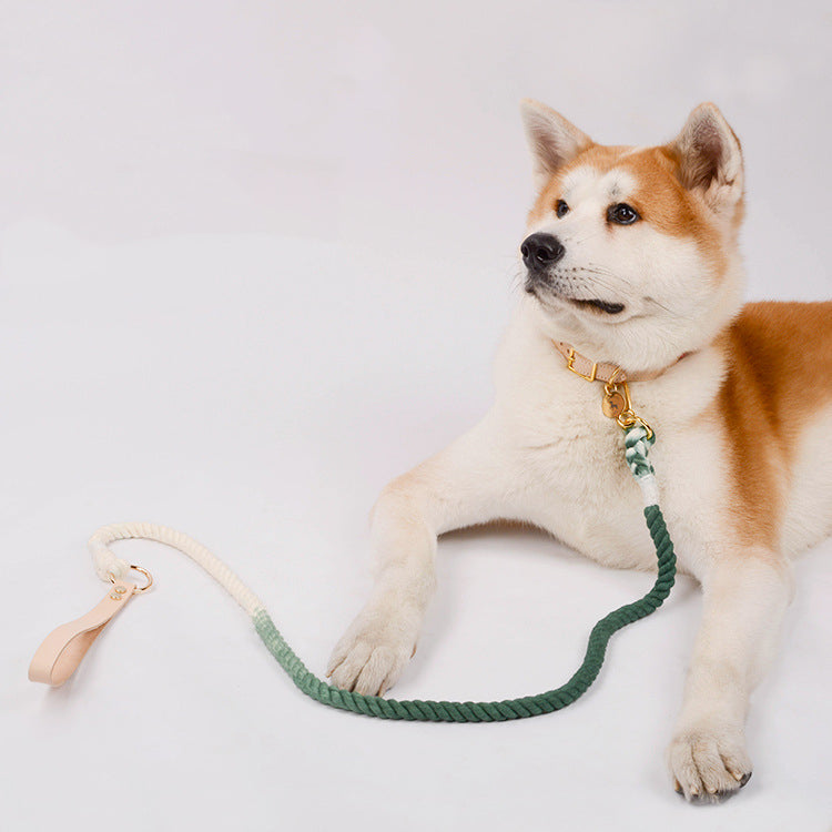 Gradient Rainbow Pet Traction Leash Walking Lead