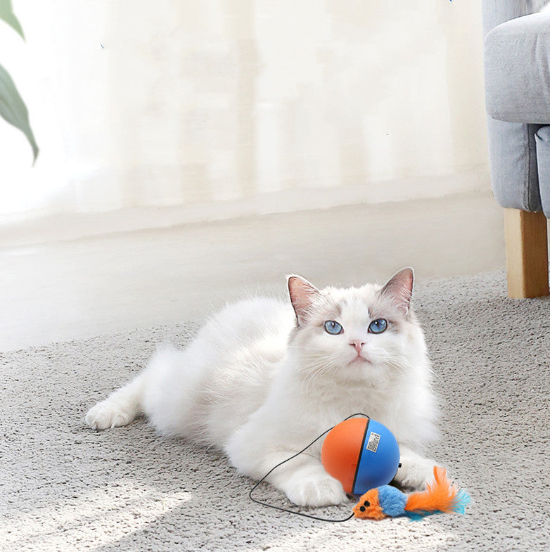 Pet Automatic Intelligent Teasing Tooth Grinding Toy Ball