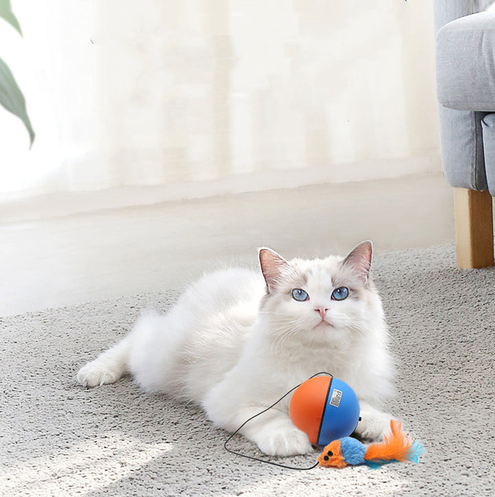 Pet Automatic Intelligent Teasing Tooth Grinding Toy Ball