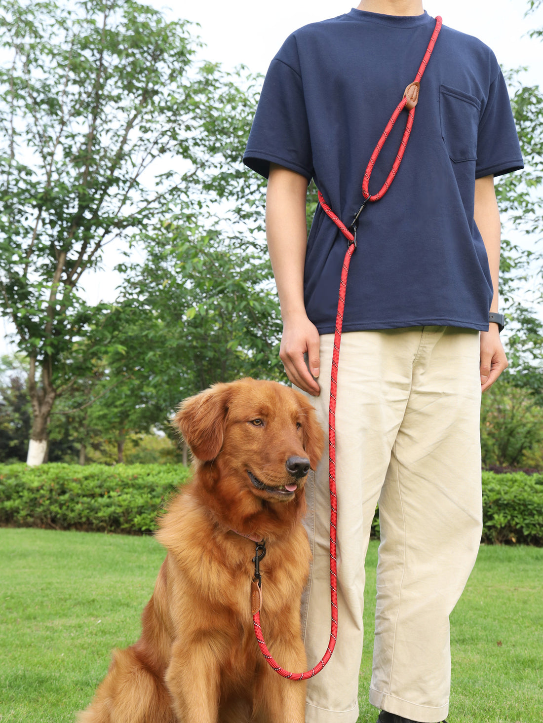 Pet Adjustable Reflective Handheld Walking Rope Leash