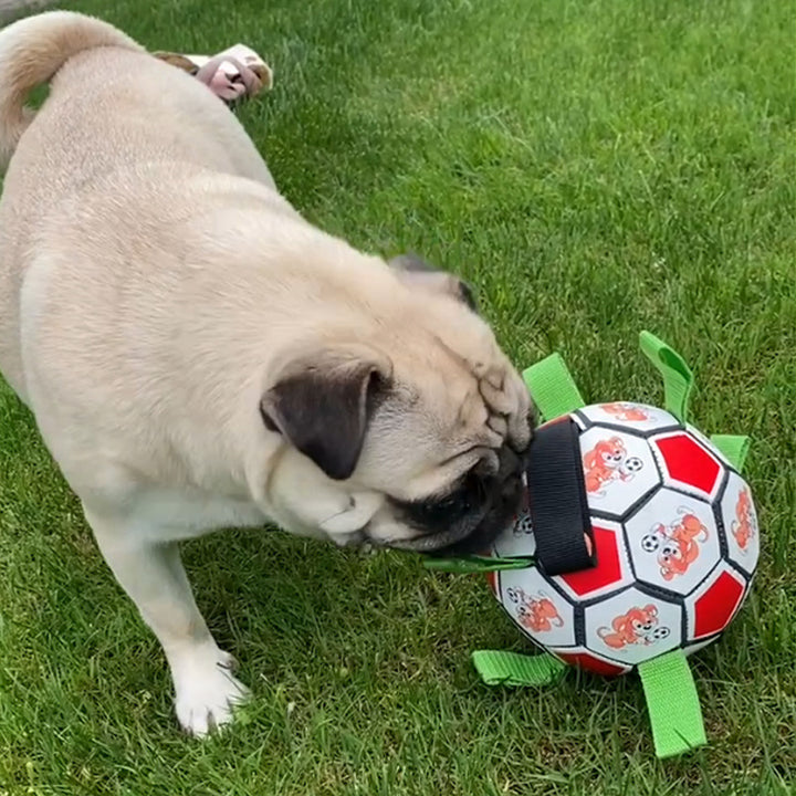 Pet Bite Resistant Football Chew Toy Molar Grinding Ball