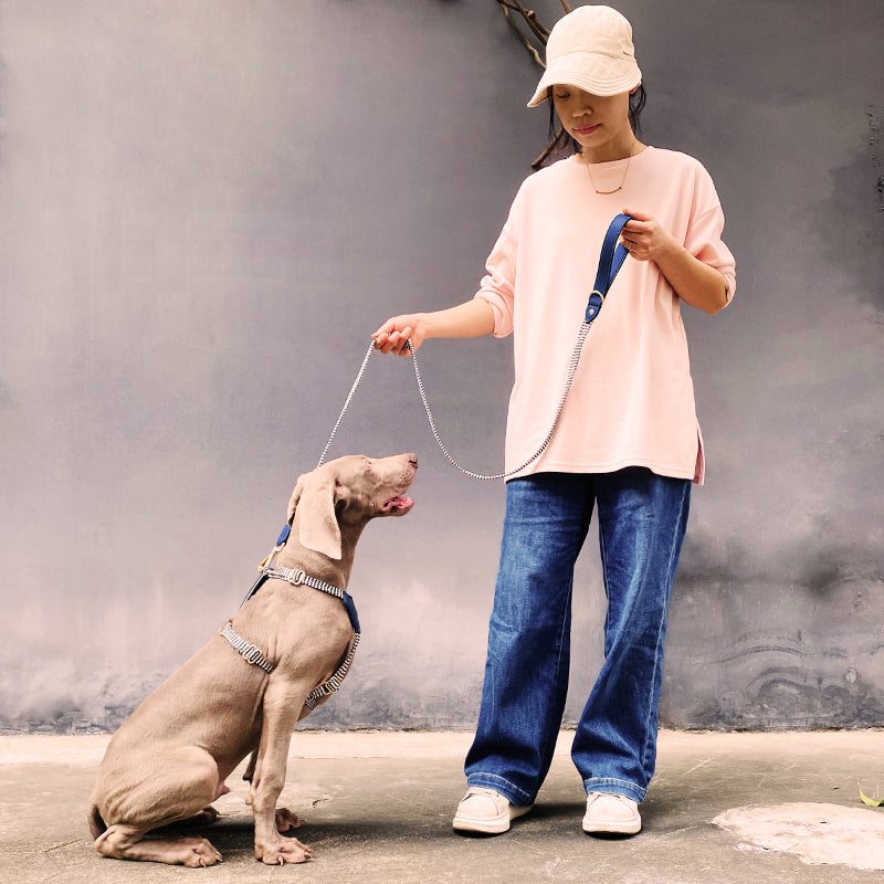 Pet Vest Style Handheld Chest Strap Explosion Proof Collar