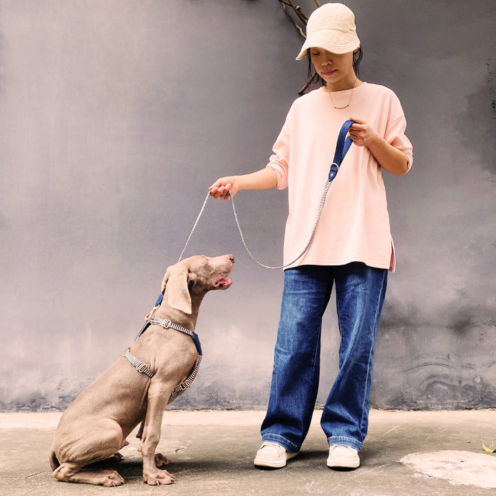 Pet Vest Style Handheld Chest Strap Explosion Proof Collar