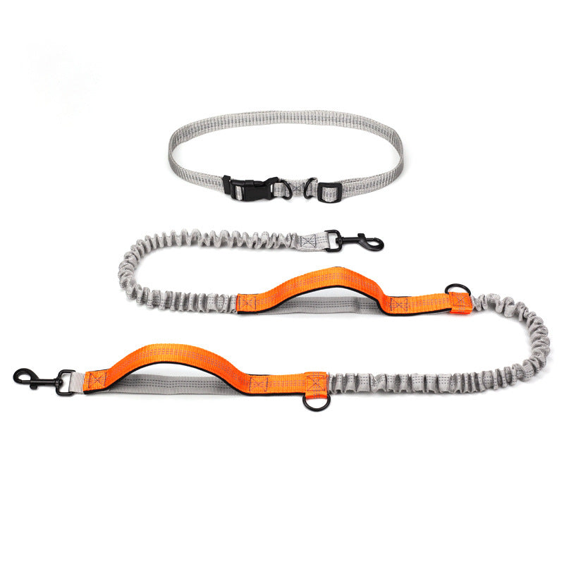 Pet Multifunctional Reflective Double Telescopic Running Leash