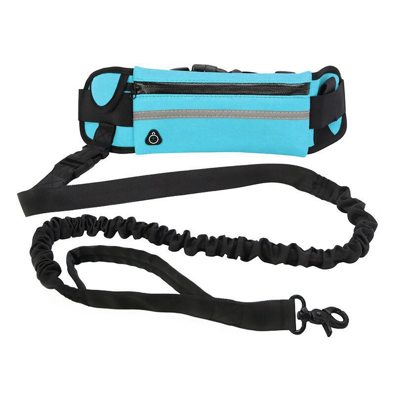Pet Walking Purse Leash Portable Travel Carrier Strap