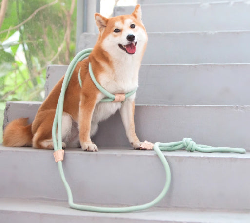 Pet Multi Functional Chest Harness Anti Burst Leash