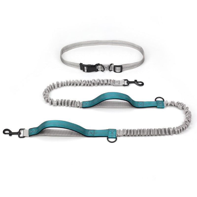 Pet Multifunctional Reflective Double Telescopic Running Leash