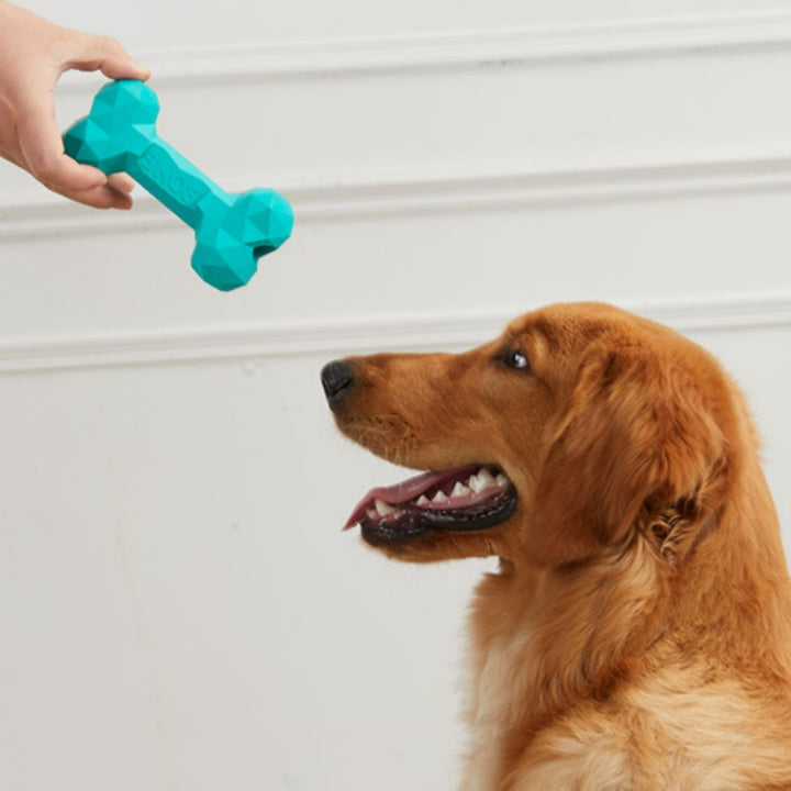 Pet Bite Resistant Rubber Dental Grinding Bone Toy