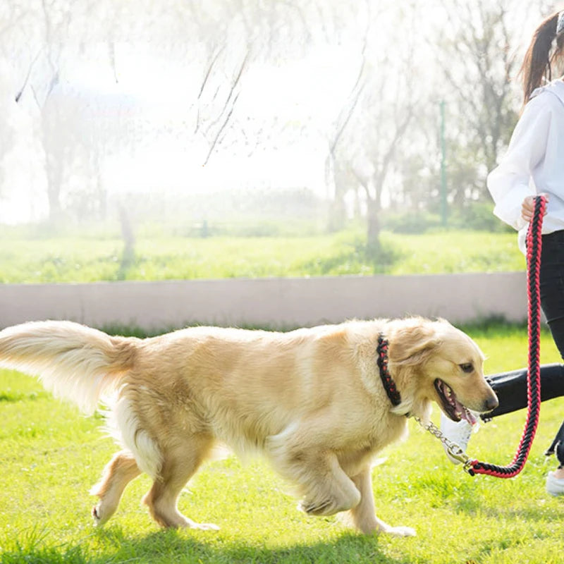 Heavy Duty Nylon Braided Pet Training Leash Collar Set