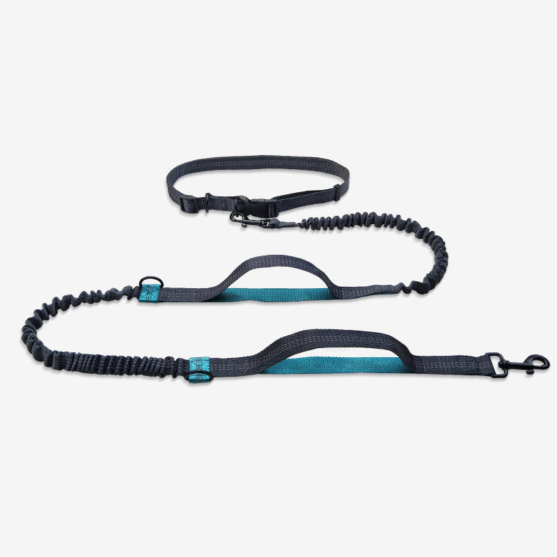 Pet Multifunctional Reflective Double Telescopic Running Leash