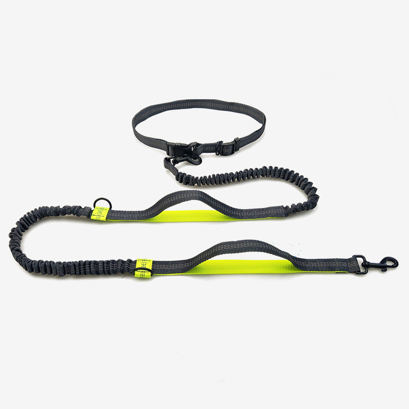 Pet Multifunctional Reflective Double Telescopic Running Leash