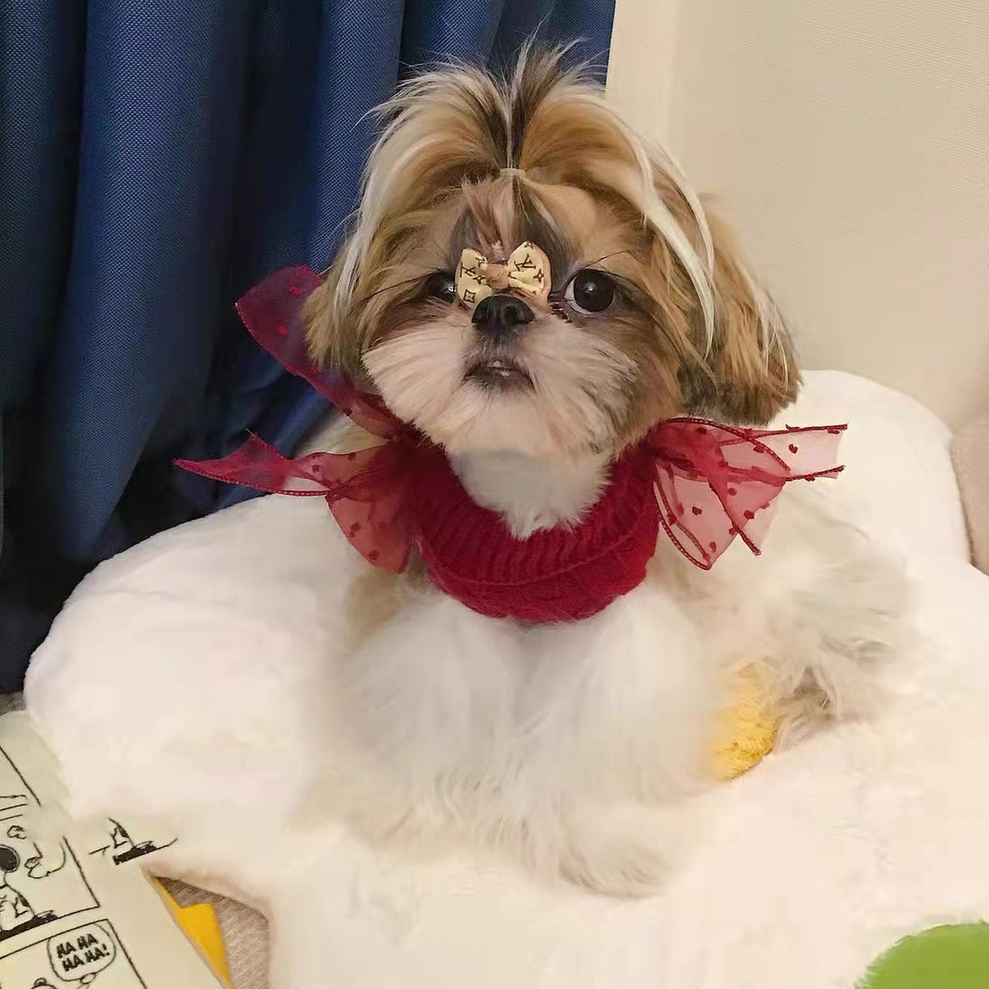 Festive Warm New Year Pet Sweater Clothing Apparel