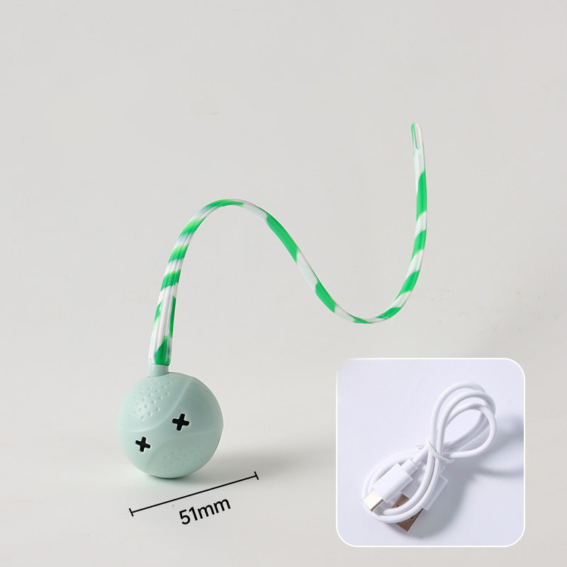 Pet Interactive Electric Motion-Activated Sensor Toy Ball