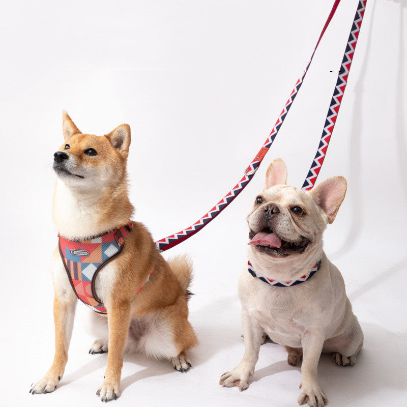 Pet Rainbow Hands Free Multifunctional Adjustable Traction Rope Leash