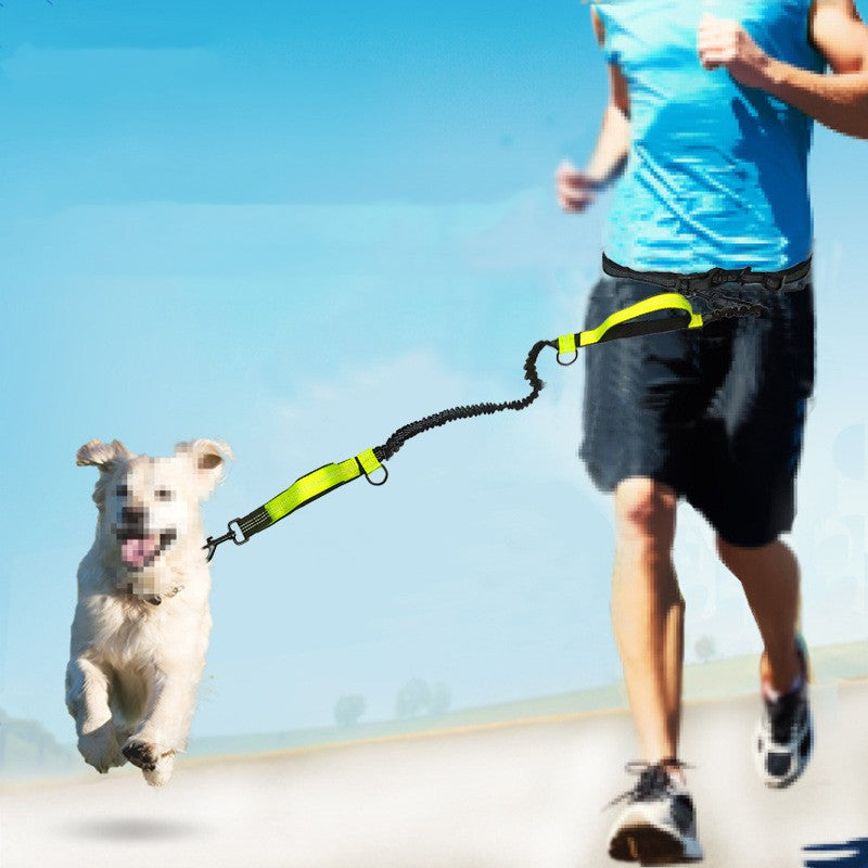 Pet Multifunctional Reflective Double Telescopic Running Leash