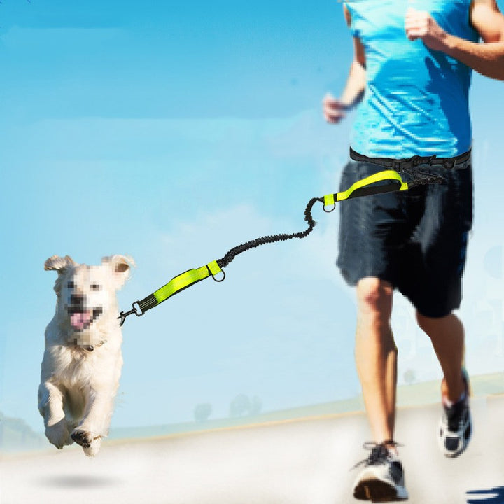 Pet Multifunctional Reflective Double Telescopic Running Leash
