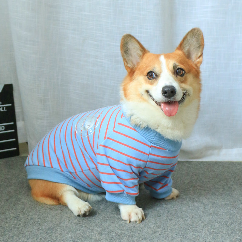Parent Child Matching Pet Sweater Apparel