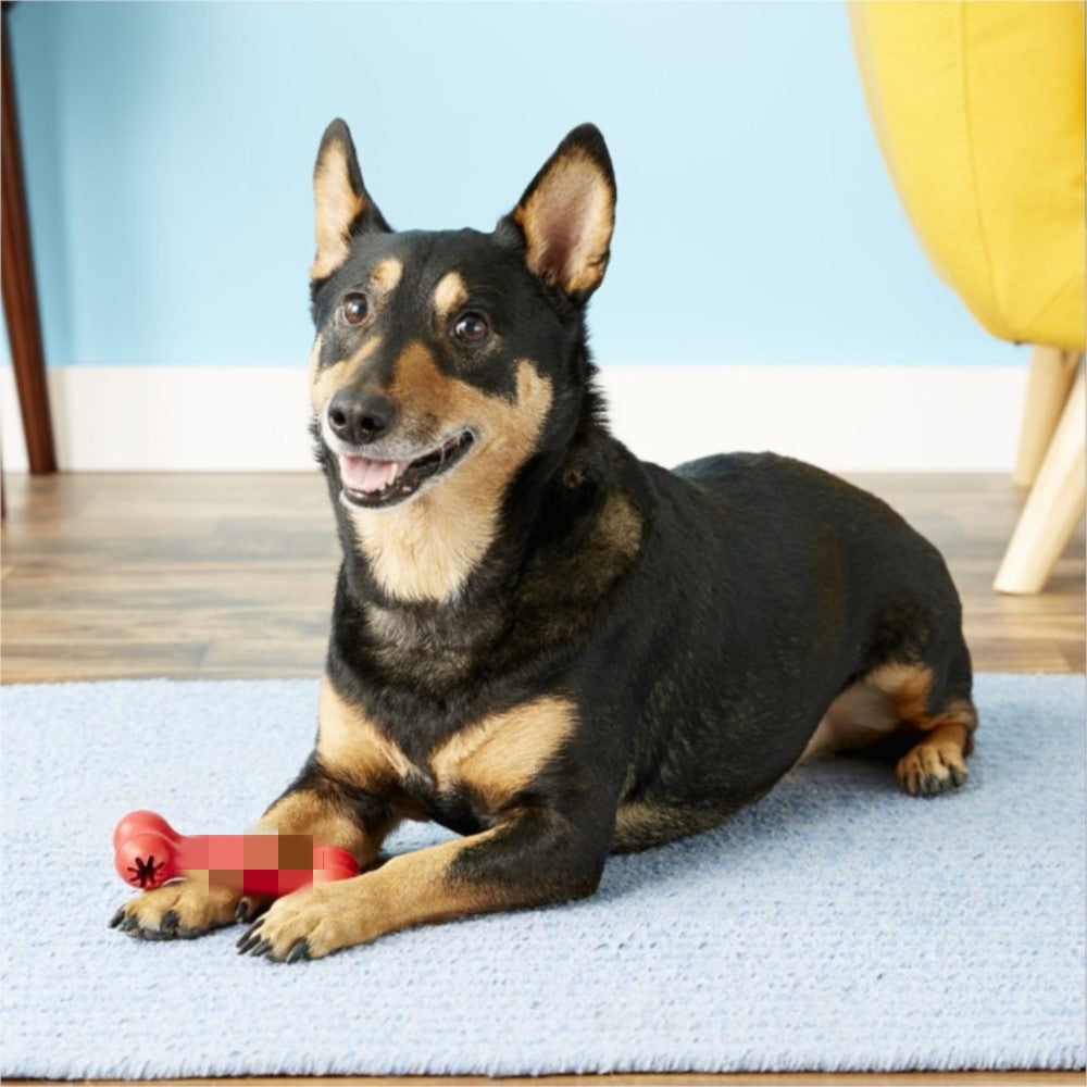 Pet Bite Resistant Rubber Teeth Grinding Toy