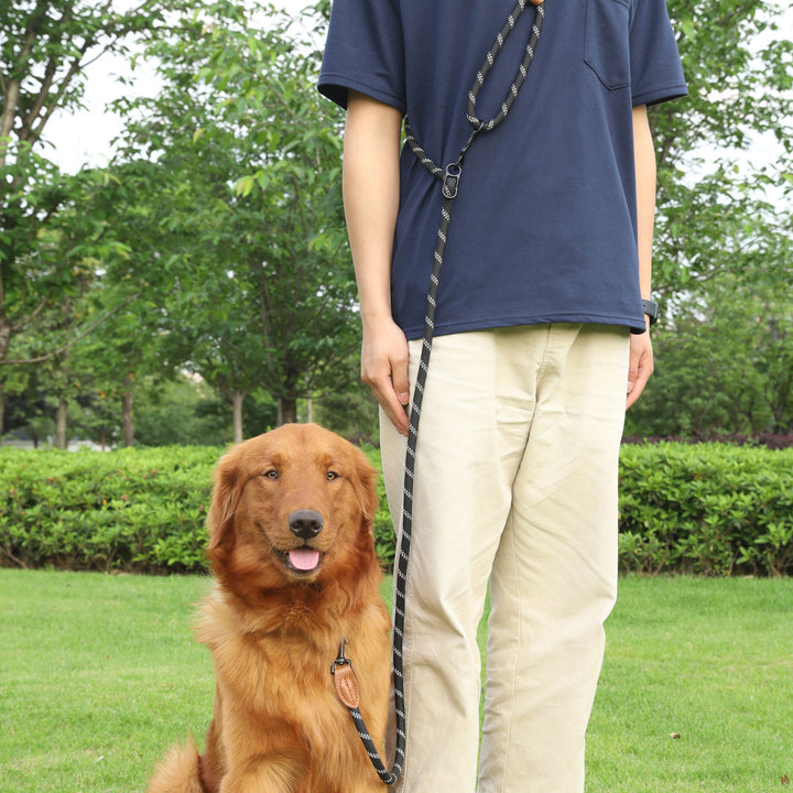 Pet Adjustable Reflective Handheld Walking Rope Leash