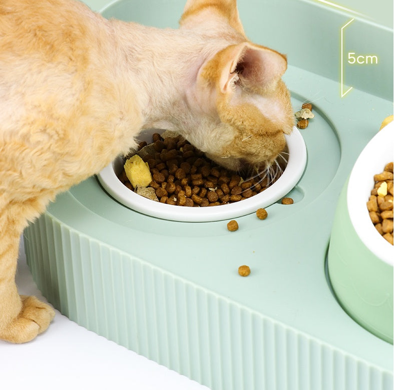 Pet Ceramic Elevated Cervical Spine Protection Feeding Bowl