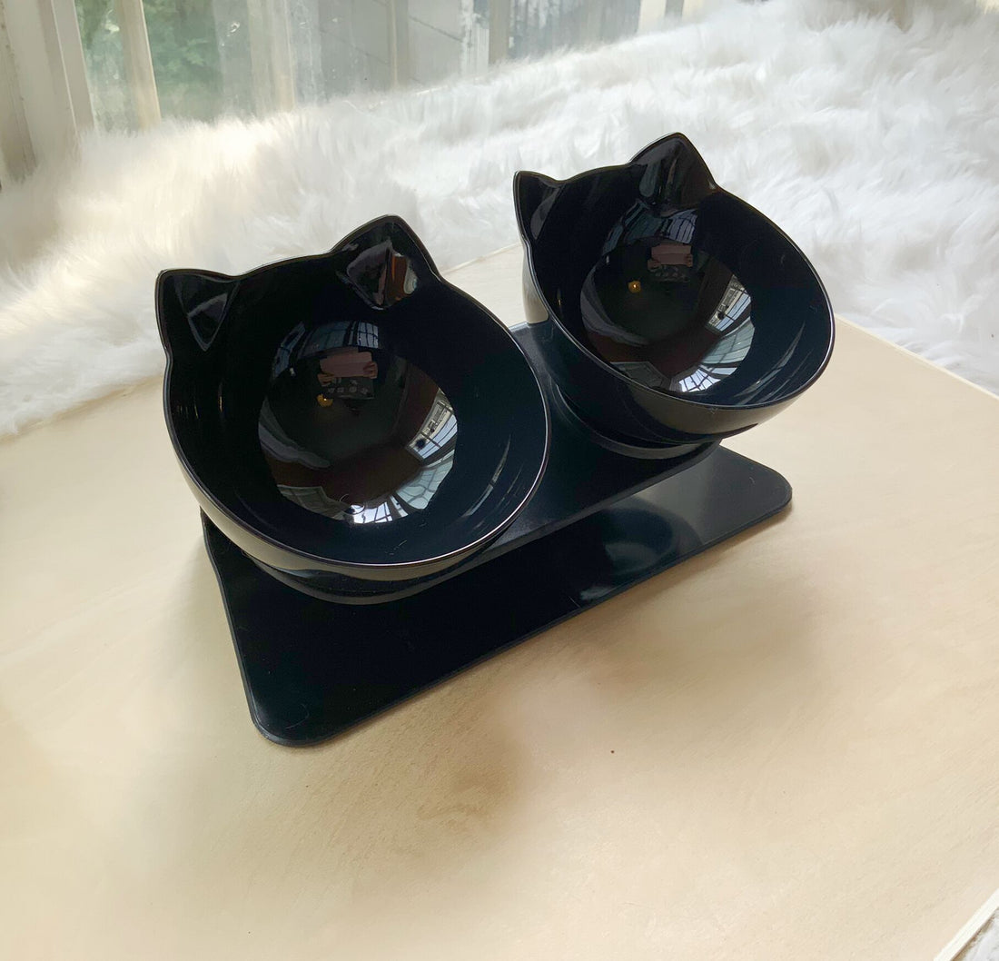 Pet Non Slip Double Bowl Raised Stand Feeding Dish