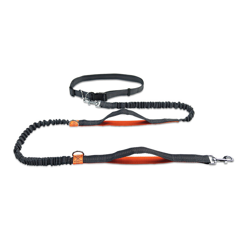 Pet Multifunctional Reflective Double Telescopic Running Leash
