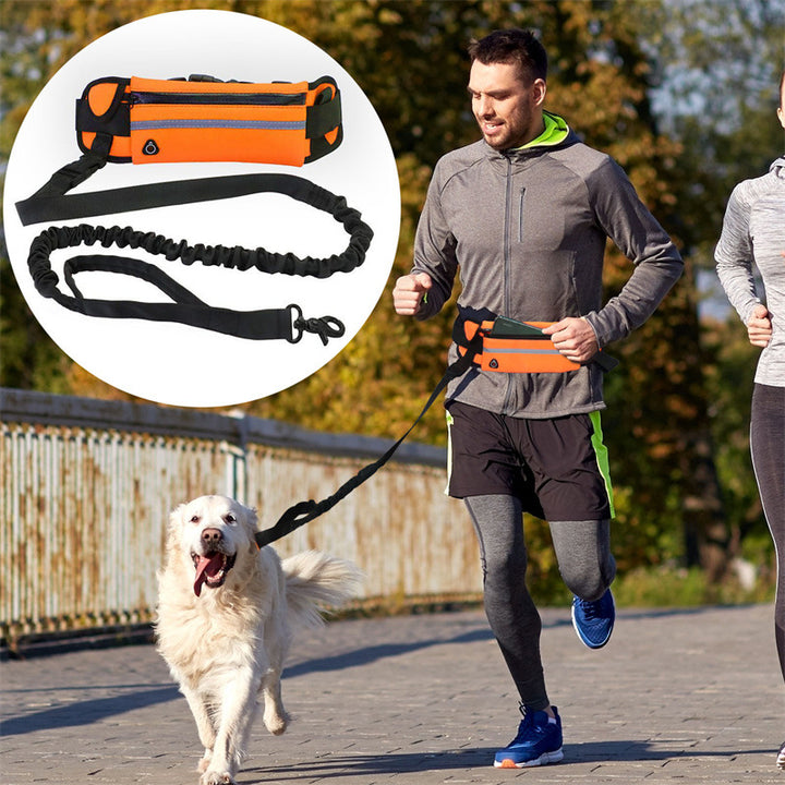 Pet Walking Purse Leash Portable Travel Carrier Strap