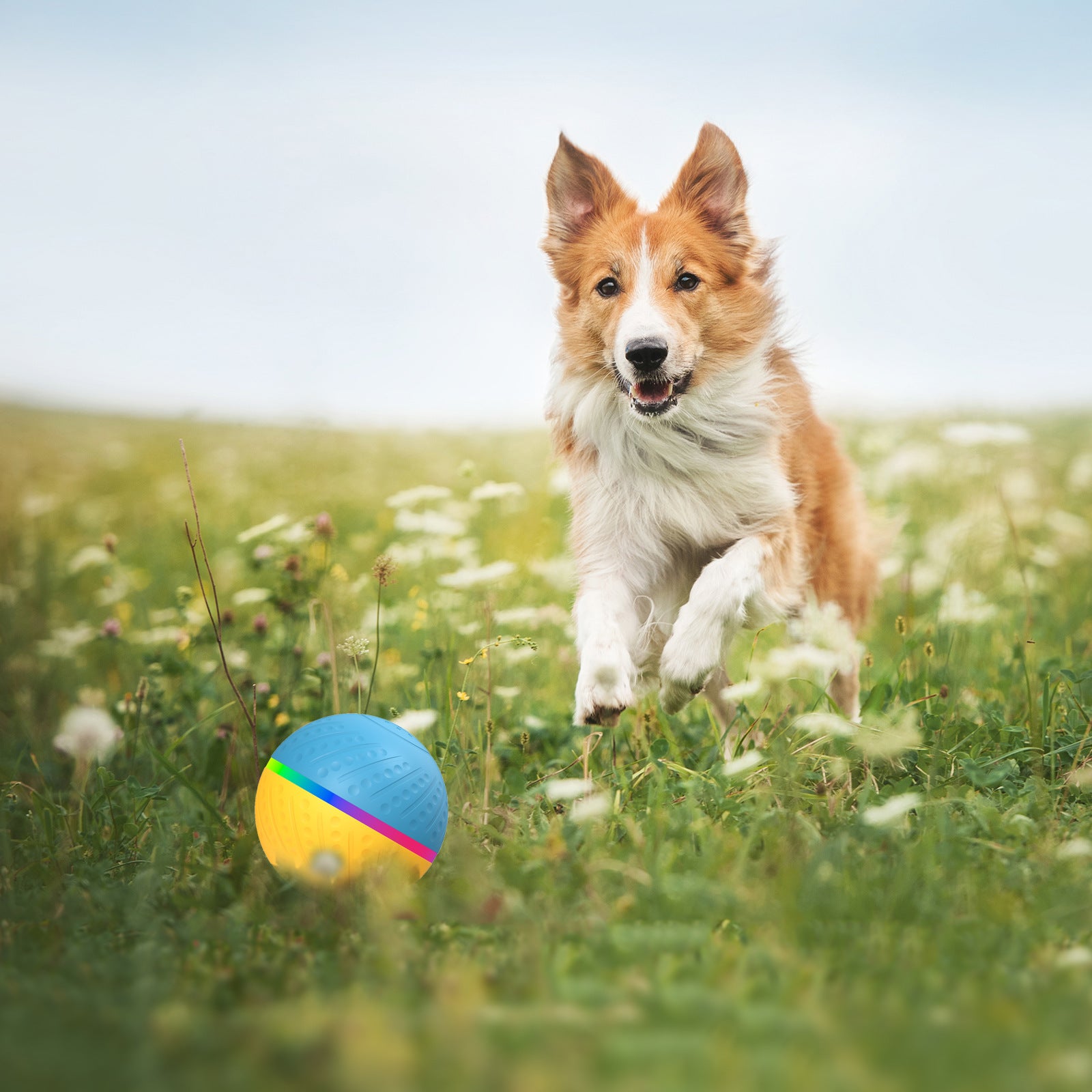 Pet Bite-Resistant Remote Control Interactive Intelligent Toy Ball