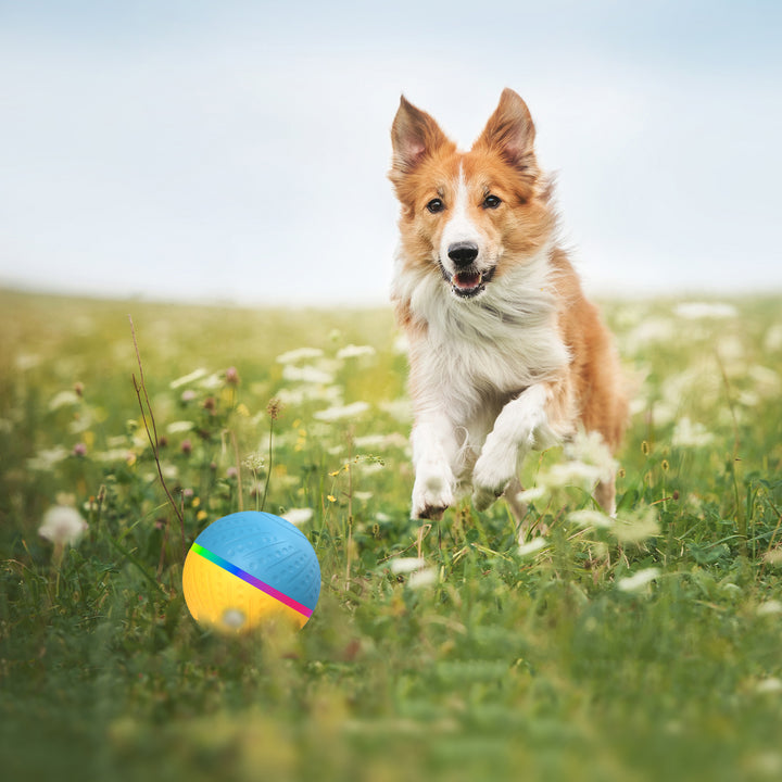 Pet Bite-Resistant Remote Control Interactive Intelligent Toy Ball
