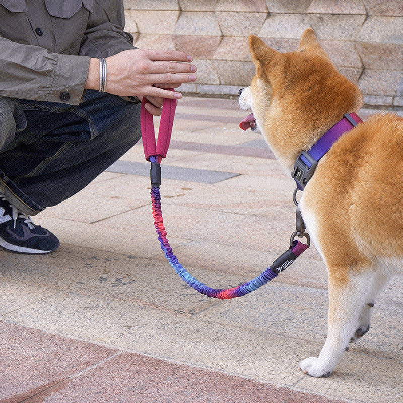 Pet High Elastic Traction Rope Simple Durable Leash