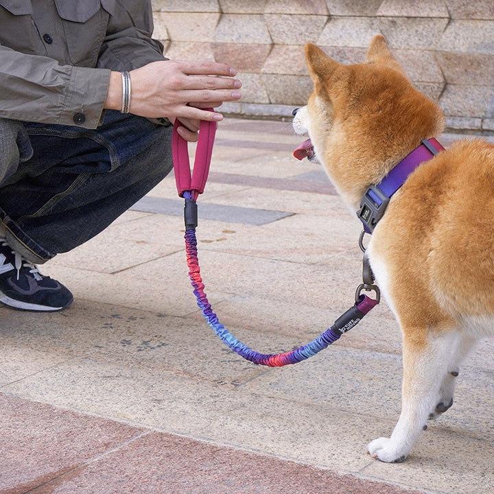 Pet High Elastic Traction Rope Simple Durable Leash